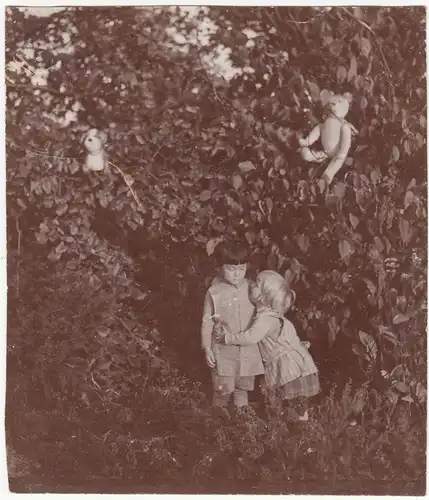 (F12484) Orig. Foto kleine Kinder spielen, Bärchen im Busch versteckt, 1931