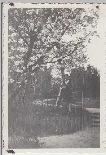 (F12232) Orig. Foto junge Frau unter einem Kirchbaum 1931