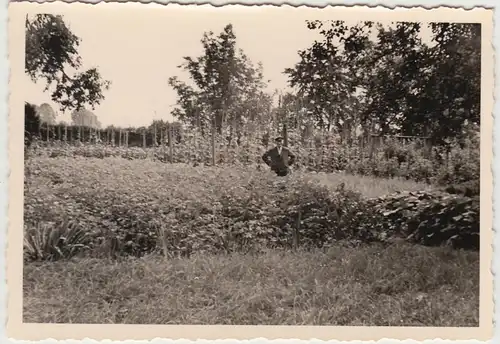 (F12182) Orig. Foto älterer Herr steht im Garten, 1930er