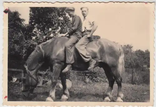 (F11920) Orig. Foto 2 junge Männer sitzen auf einem Pferd 1950er