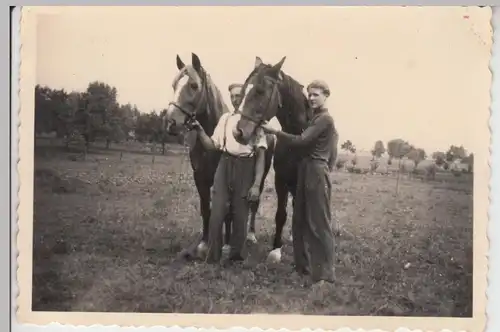 (F11919) Orig. Foto 2 junge Männer m. Pferden a. Wiese 1950er