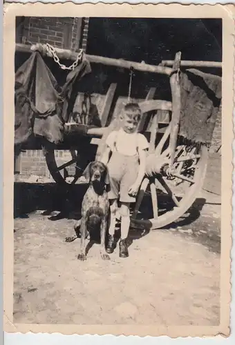 (F11905) Orig. Foto kl. Junge Herbert m. Hund vor Leiterwagen, 1953