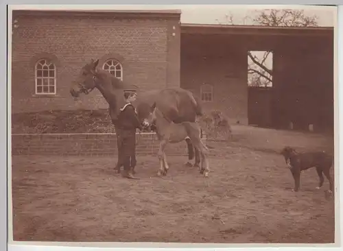 (F11850) Orig. Foto Junge m. Pferd u. Fohlen a.d. Hof, als AK m. Bahnpost gel. 1