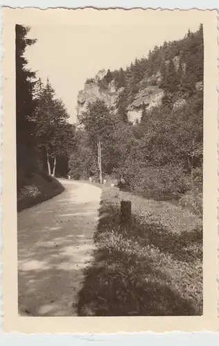 (F11819) Orig. Foto Felsen "Rote Wand" im Kleinziegenfelder Tal 1942