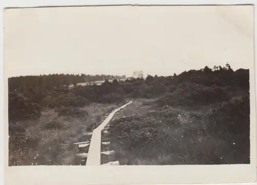 (F11745) Orig. Foto Georgenfeld Hochmoor, Geh-Steg 1932