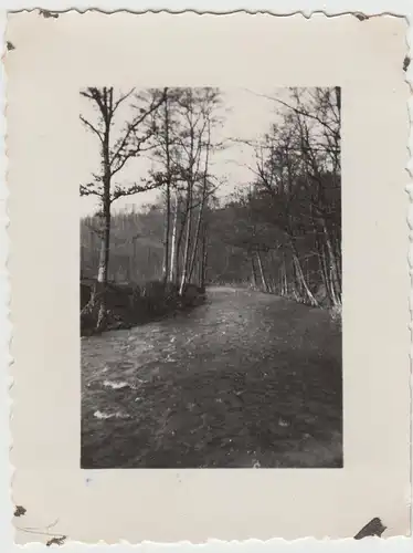 (F11743) Orig. Foto Müglitz (Fluss) 1932