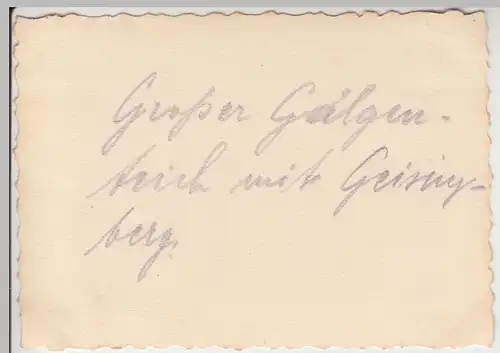 (F11739) Orig. Foto Altenberg i.Sa., Großer Galgenteich 1932
