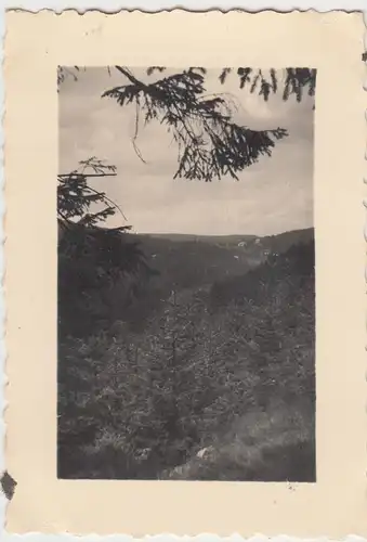 (F11735) Orig. Foto Weißeritztal 1932