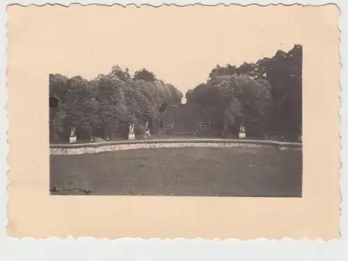 (F11724) Orig. Foto Pillnitz, Treppe im Schlossgarten 1932