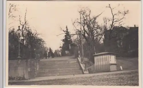 (F11675) Orig. Foto Bautzen, Freitreppe im Park? 1930