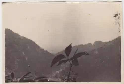 (F11649) Orig. Foto Zittauer Gebirge 1930, Bl.v. Oybin n.d. Niederdorf