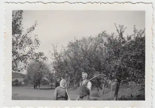 (F11594) Orig. Foto Ehepaar mit Rechen bei der Ernte, Obstbäume 1930er