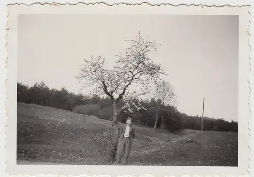 (F11570) Orig. Foto junger Mann am Obstbaum 1930er