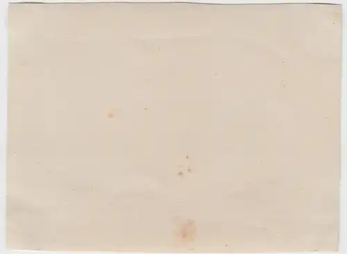 (F11539) Orig. Foto zwei Jungen im Freien, im Oval 1910/20er