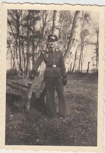 (F11479) Orig. Foto Luftwaffe-Soldat im Birkenwald, 1940er