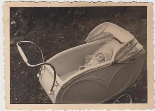 (F11224) Orig. Foto Kleinkind Doris im Kinderwagen, geb. u. gest. 1942