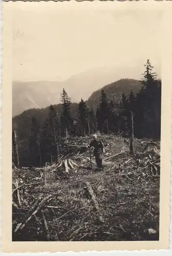 (F1098) Orig. Foto Wehrmacht-Soldat in Bergregion, Abholzen e. Waldes, 1940er