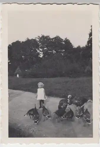 (F10884) Orig. Foto kleines Mädchen Inge Merten aus Apolda mit Perlhühner o.ä.,