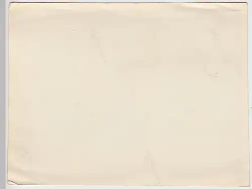(F10870) Orig. Foto Zwenkau, Gruppenbild im Freien, Konfirmation 1950/60er