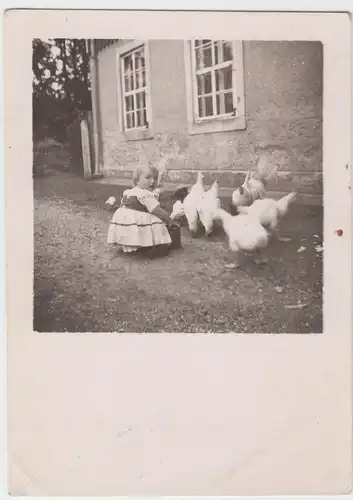 (F10809) Orig. Foto kleines Mädchen mit Hühnern am Haus, vor 1945