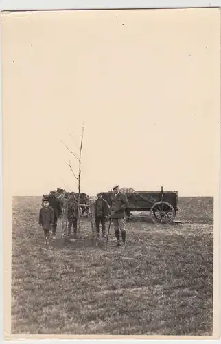 (F10808) Orig. Foto Personen m. Pferdefuhrwerk auf Feld, gepflanzter Baum vor 19
