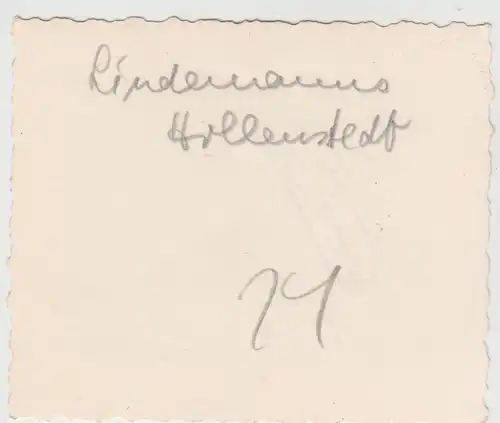 (F10745) Orig. Foto Personen auf einer Bank in Hollenstedt, Fam. Lindemann 1950e