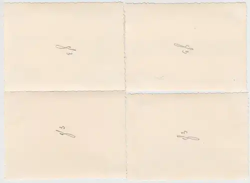 (F10572) 4x Orig. Foto Landschaften an der Oder bei Lebus 1939