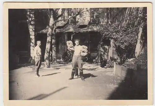 (F1057) Orig. Foto Wehrmacht-Soldat mit Bananenstauden, 1940er