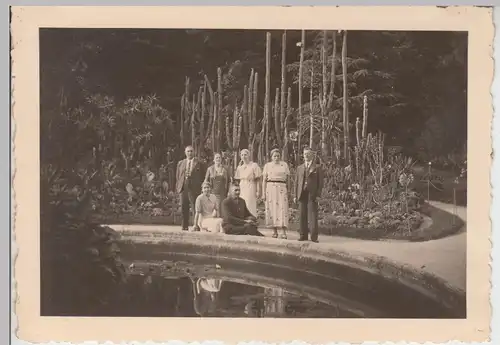 (F10399) Orig. Foto Gruppenbild vor Kakteen, möglw. Insel Mainau 1936