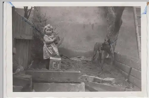 (F10325) Orig. Foto kleines Mädchen mit großen Hund im Sandkasten, Persil-Karton
