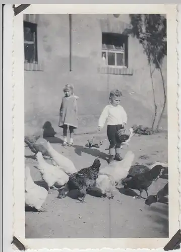 (F10267) Orig. Foto kleine Kinder mit den Hühnern auf dem Hofe 1930er