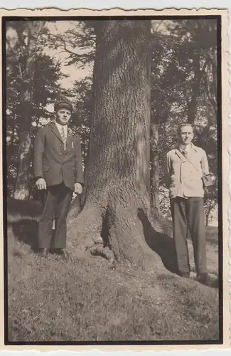 (F10240) Orig. Foto Herren an einem Baum im Wald, Wanderung 1930er