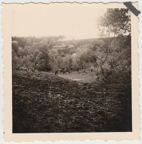 (F10100) Orig. Foto 2.WK deutsche Truppenbewegung, Landschaft mit Pferden