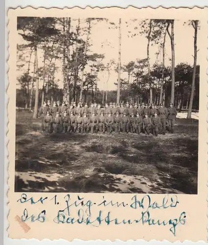 (F10022) Orig. Foto deutsche Soldaten im Wald, 1. Zug des Kadettenrangs, 1930/40