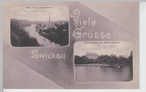 (105747) AK Zwickau, Blick v.d. Muldenwarte u. Schwanenschloss, 1907