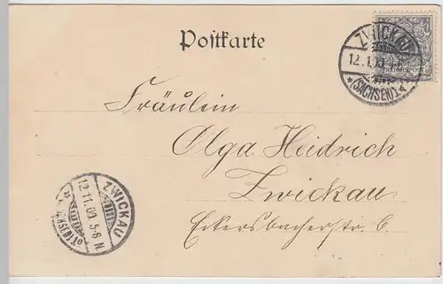 (105746) AK Gruss aus Zwickau, Heim der Geschwister Schindler, 1900