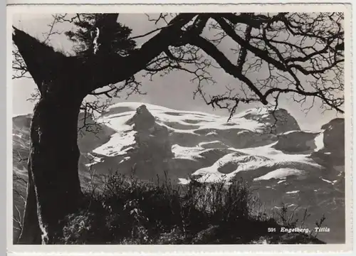 (14015) Foto AK Titlis, nach 1945