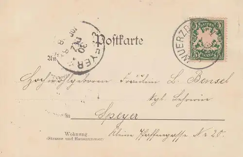 (107754) AK Gruß aus Würzburg, Panorama 1898