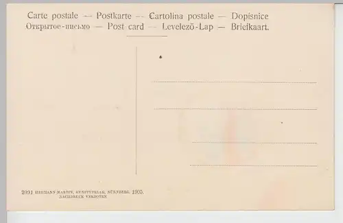 (107540) AK Würzburg, Partie im Kgl. Hofgarten, 1905