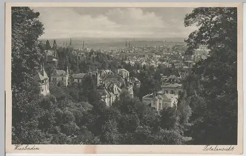 (74048) AK Wiesbaden, Totalansicht von der Griechischen Kapelle, vor 1945