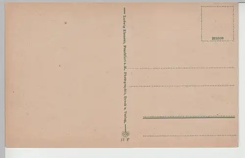 (72135) AK Wiesbaden, Panorama, vor 1945