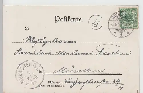 (111038) AK Gruss aus Wiesbaden, Große Fontäne, 1899