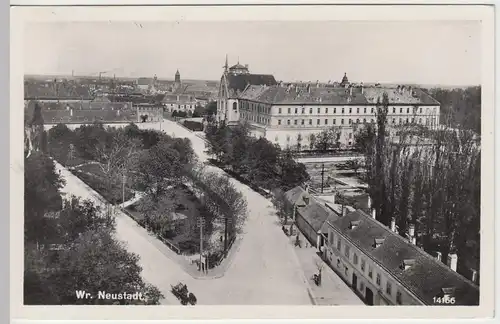 (49258) Foto AK Wien Neustadt, 1951