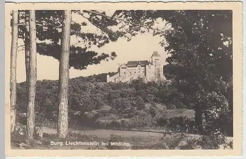 (39384) Foto AK Burg Liechtenstein bei Mödling 1943