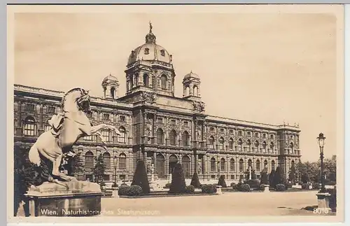 (33343) Foto AK Naturhistorisches Staatsmuseum, vor 1945