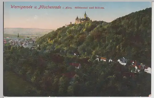 (94633) AK Wernigerode, Nöschenrode, Harz, Mühlental, vor 1945