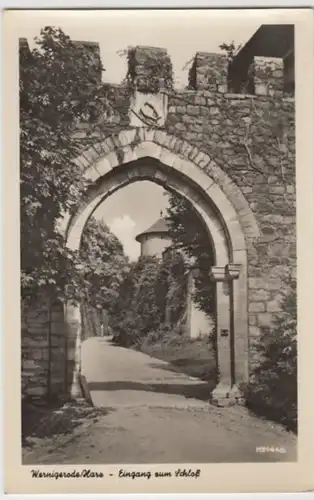 (9023) Foto AK Wernigerode, Schloss, Eingang 1954