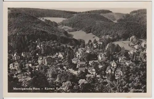 (9006) Foto AK Wernigerode, Küsters Kamp, Panorama 1954