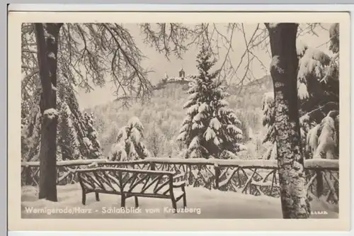 (8890) Foto AK Wernigerode, Schloss, Blick vom Kreuzberg, nach 1945