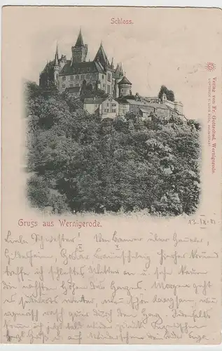 (76891) AK Gruss aus Wernigerode, Schloss 1901